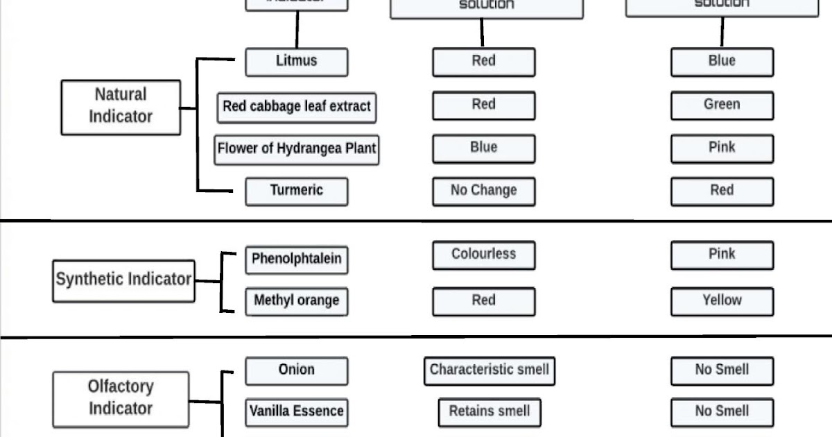 Notes of Ch 2 Acids, Bases and Salts Class 10th Science Study Rankers
