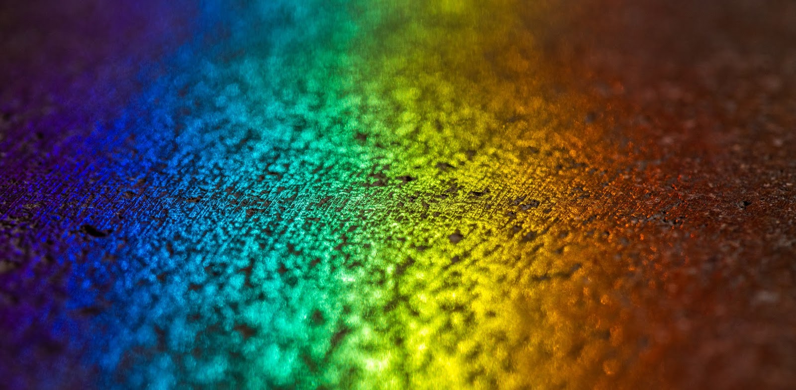 Macro Photography Ideas To Shoot At Home Blog Photography Tips ISO macro-photography-ideas-to-shoot-at-home-blog-photography-tips-iso