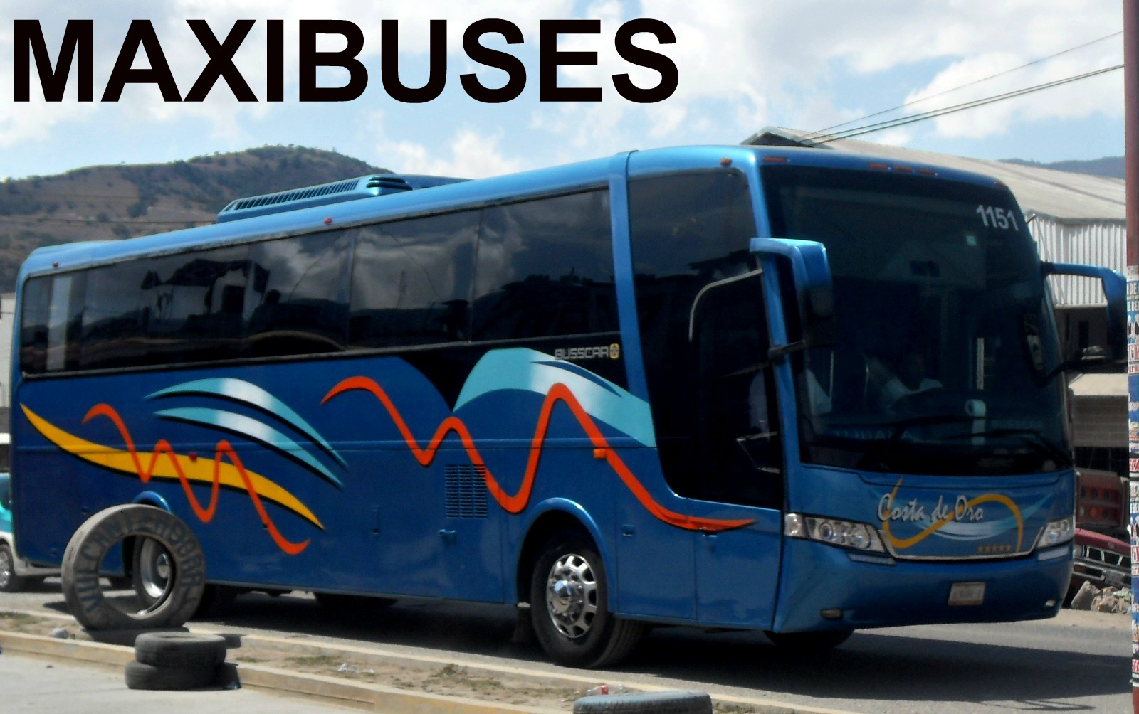 MAXIBUSES AUTOBUSES ENLACES TURÍSTICOS COSTA DE ORO (TURISMO) MAXIBUSES AUTOBUSES ENLACES TURÍSTICOS COSTA DE ORO (TURISMO)