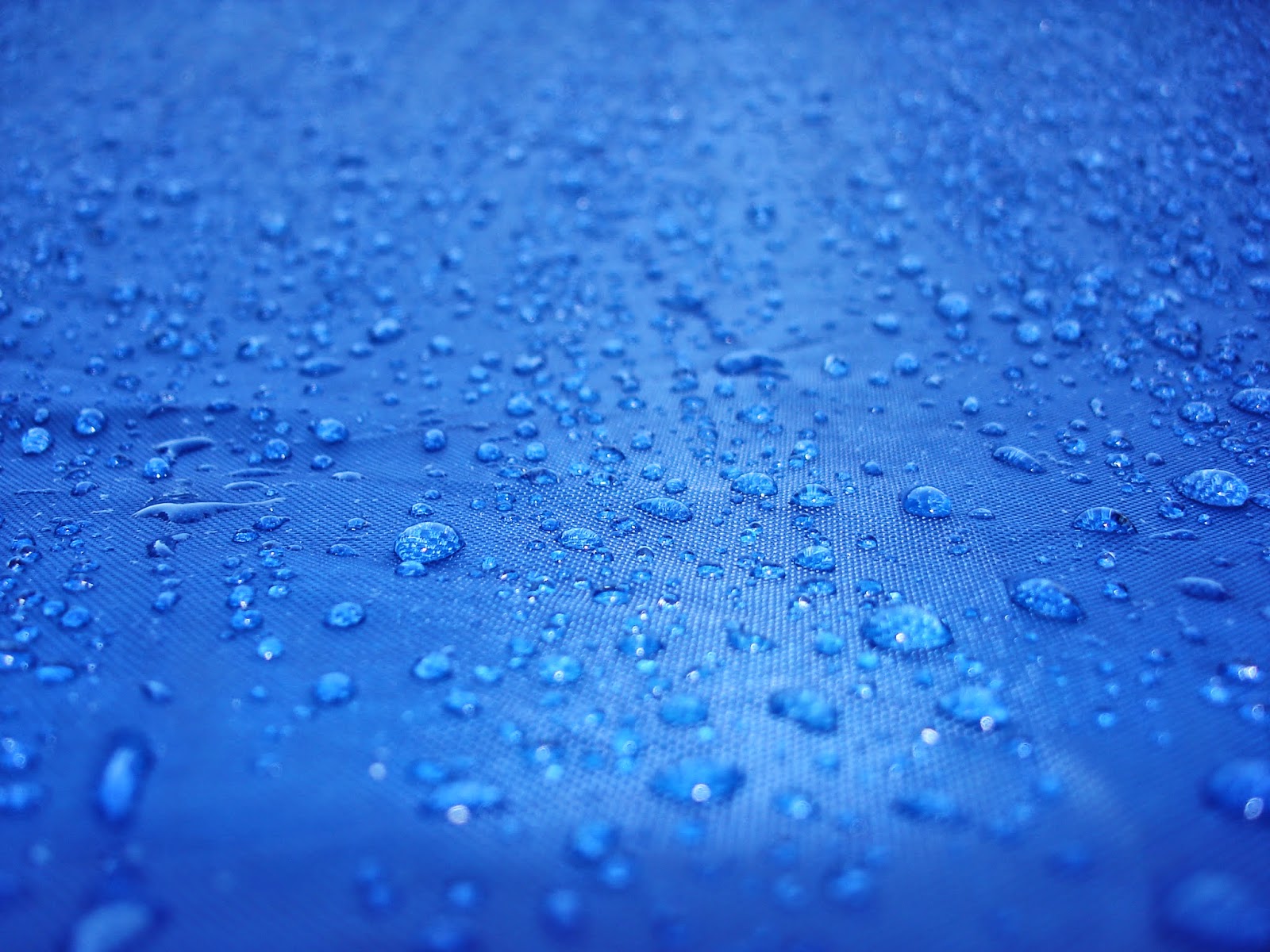 PTM Tarps & Canopies Features to Consider when Buying a Tarp