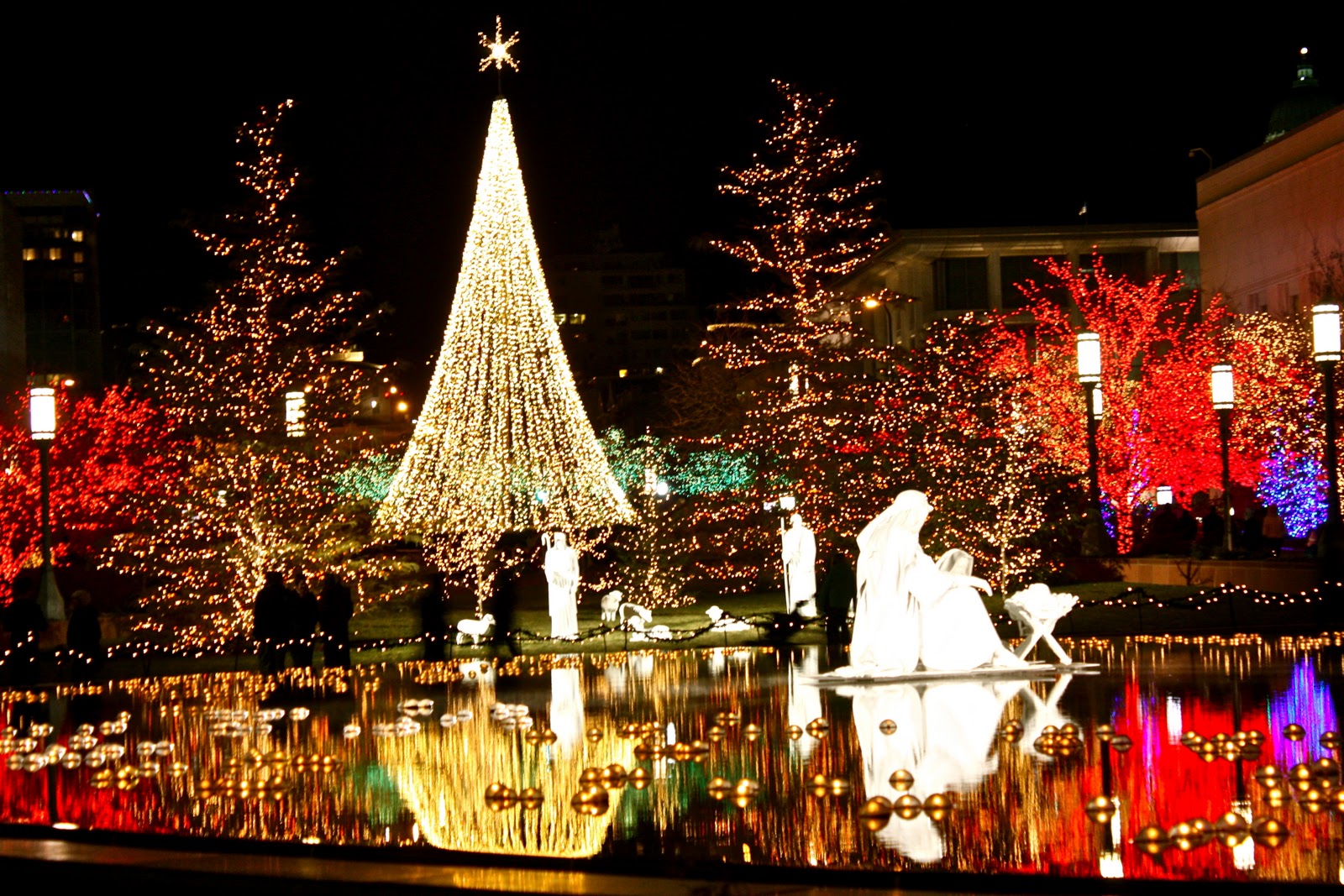 Life of Tracy: Temple Square Christmas Lights