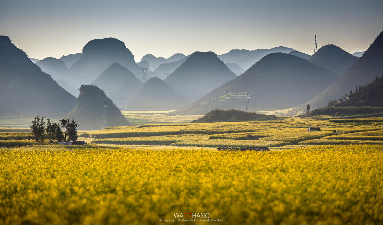 Luoping A Beautiful Canola Fields In China Travell And Culture