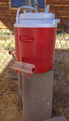 chicken waterer cooler cinder chickens traveling blocks