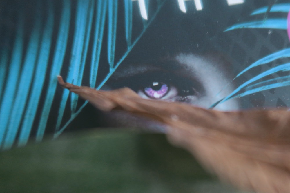 A close up of the cover of the book. Eyes can be seen peaking through some leaves that I have placed on top
