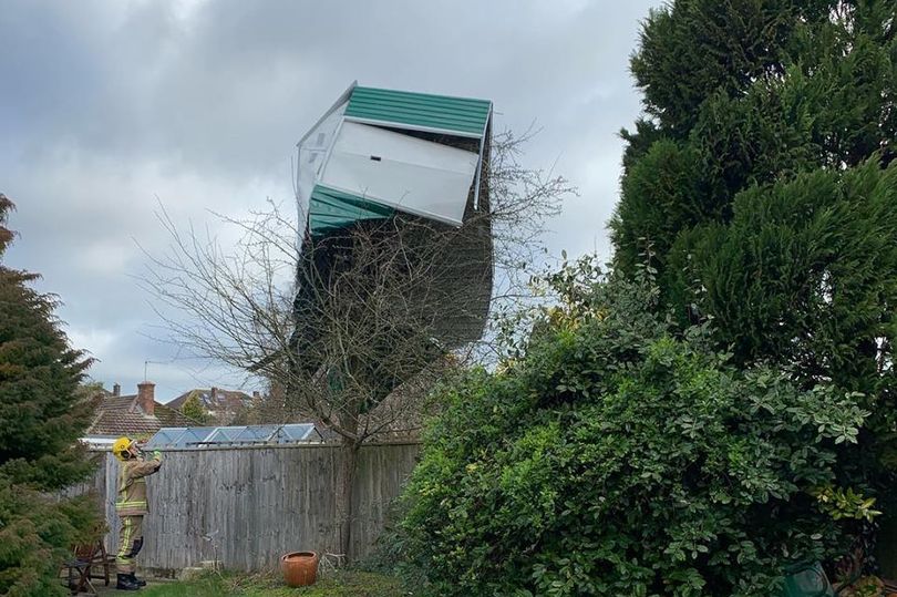 Shedworking High winds turn shed into treehouse