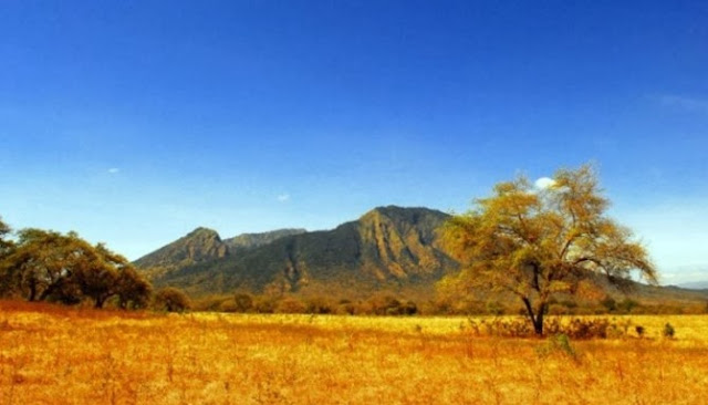 Jalan-Jalan Ke Taman Nasional Baluran Menikmati Nuansa Afrika Di Pulau Jawa Jalan-Jalan Ke Taman Nasional Baluran Menikmati Nuansa Afrika Di Pulau Jawa
