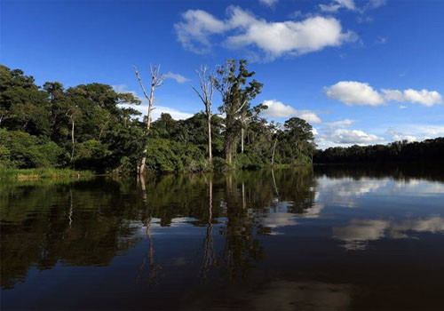 Declaraci�n del Parque Nacional del Manu como reserva natural