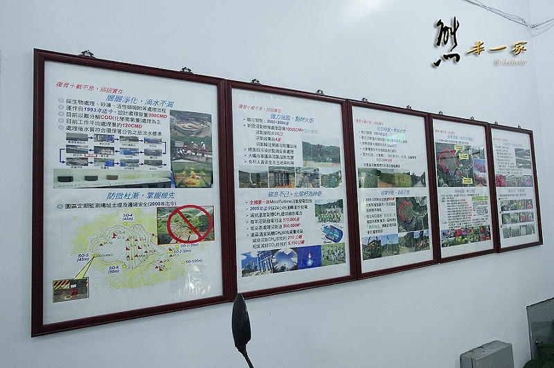 三峽私房景點櫻花林 樹木銀行|三峽碳中和樂園