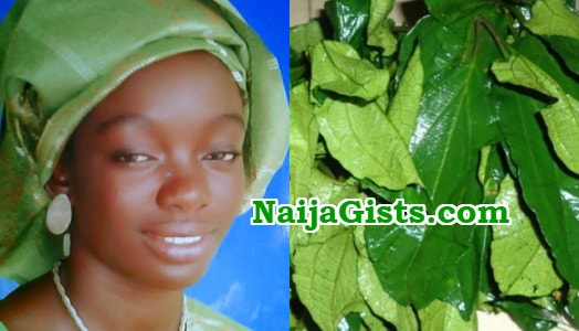university of abuja graduate ugwu vegetable farmer, millionaire university of abuja graduate ugwu vegetable farmer, millionaire