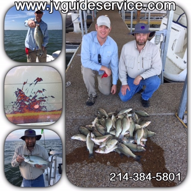 Lake Ray Hubbard Fishing ReportsWhite BassHybrid Striped Bass Lake