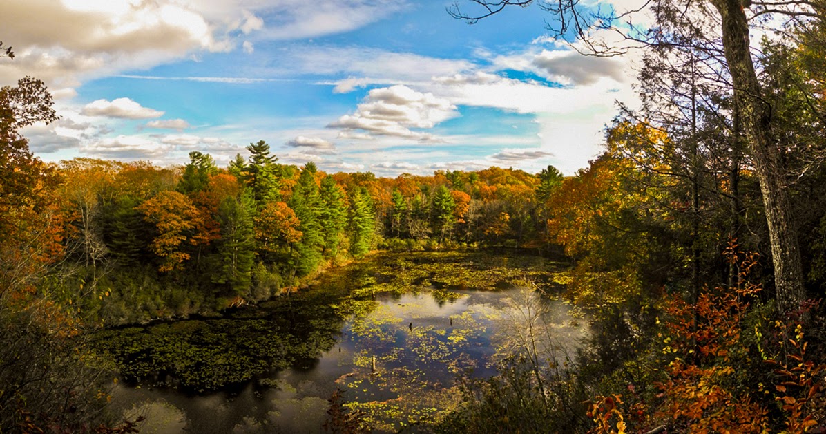 White Memorial Trail Map Connecticut Explorer: Hiking The Mattatuck Trail White Memorial  Conservation Center