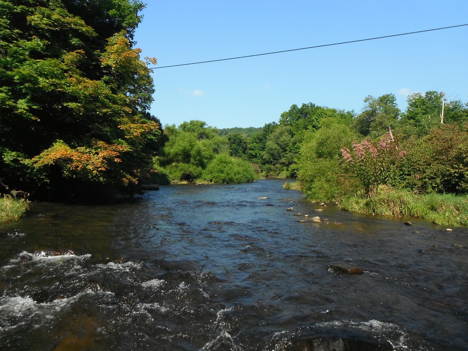 Western Maryland Fly Fishing Fly Fishing 101 on the Casselman River