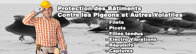 Protection des bâtiments contre les pigeons et tous autres oiseaux