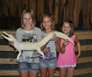 new orleans swamp tours new orleans swamp tours