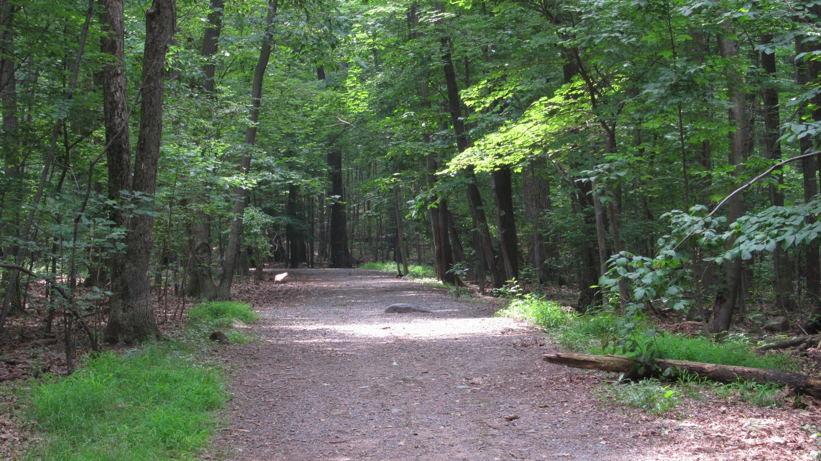 Nutley Through the Lens Mills Reservation