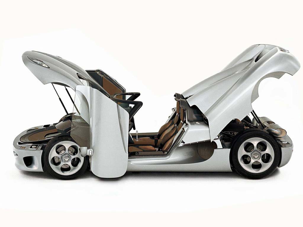 Coches con puertas hacia arriba