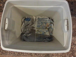 bin worm indoor fly fruit trap composting dad vermicomposting flies ultimate