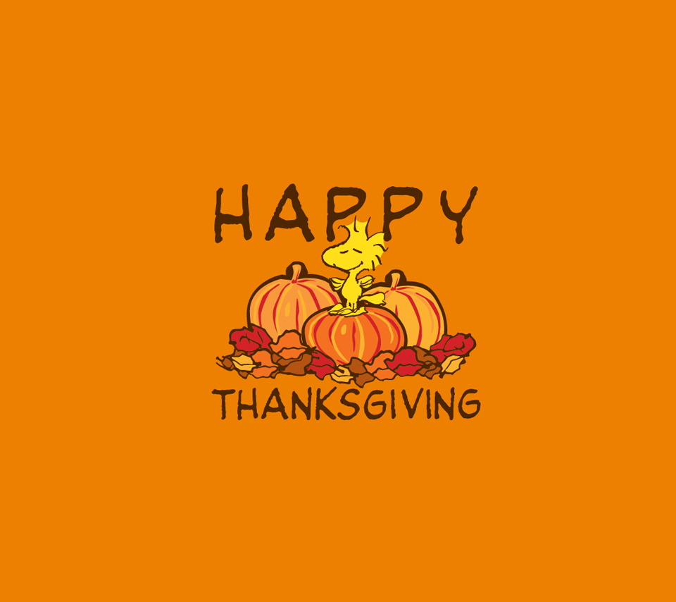 Post thanksgiving recipes