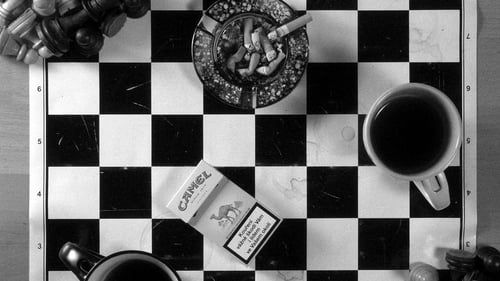 Coffee and Cigarettes 2003 subtitulada online