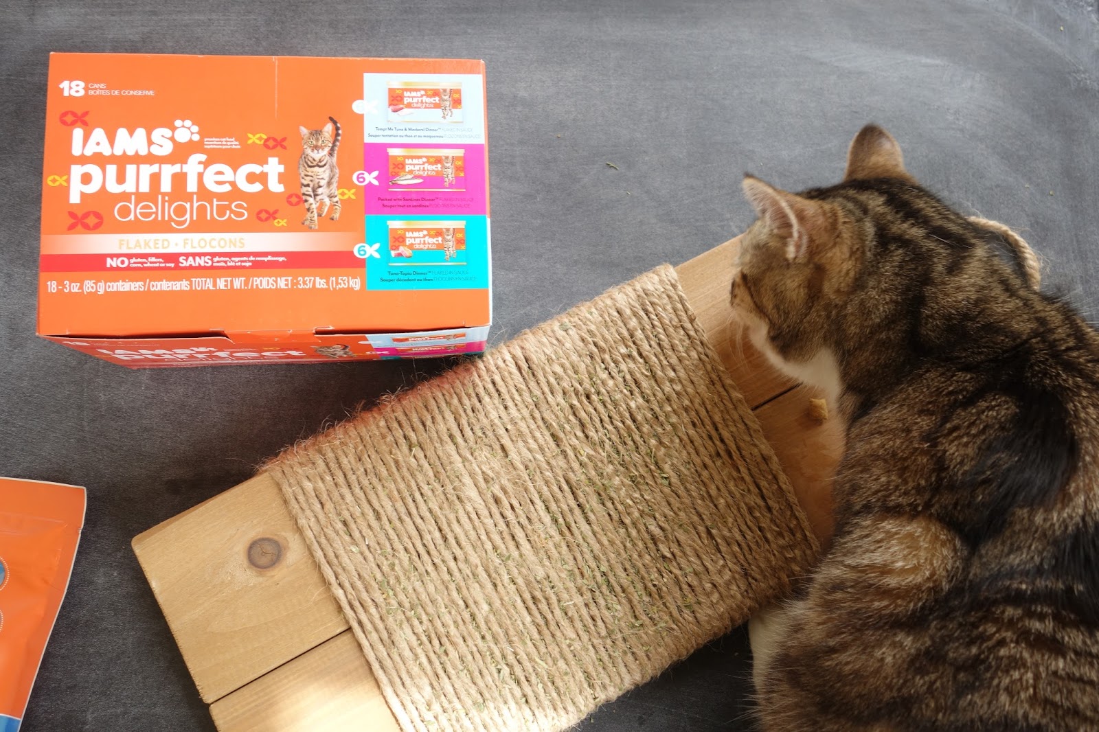 THE pepper EXPRESS My IAMS™ Cat