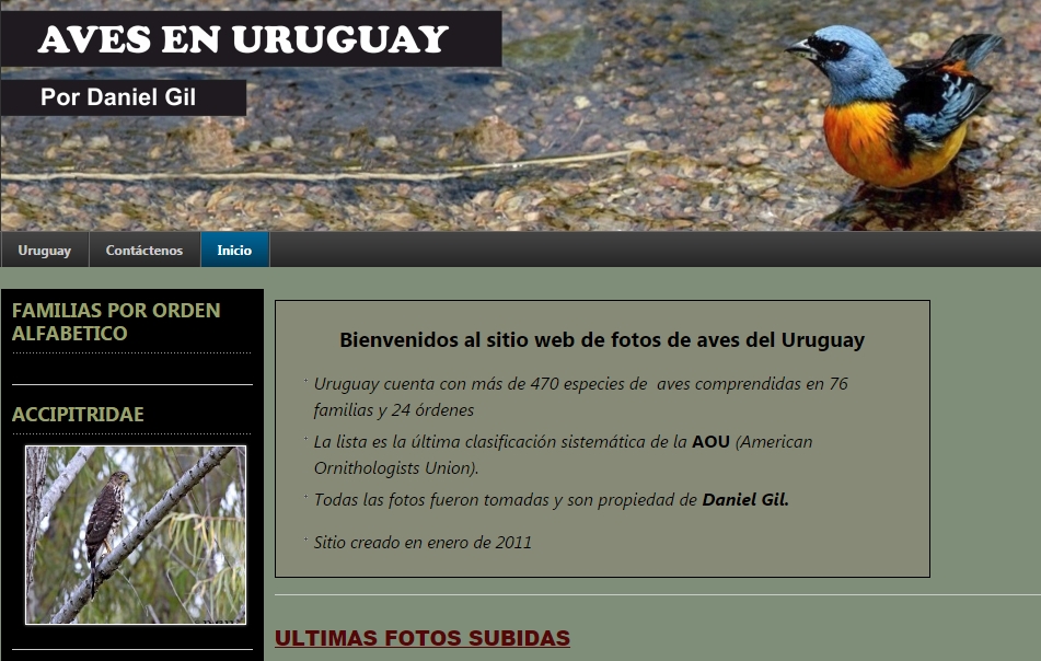 Aves de Uruguay