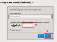 Tips Mengatasi Lupa Password BlackBerry ID