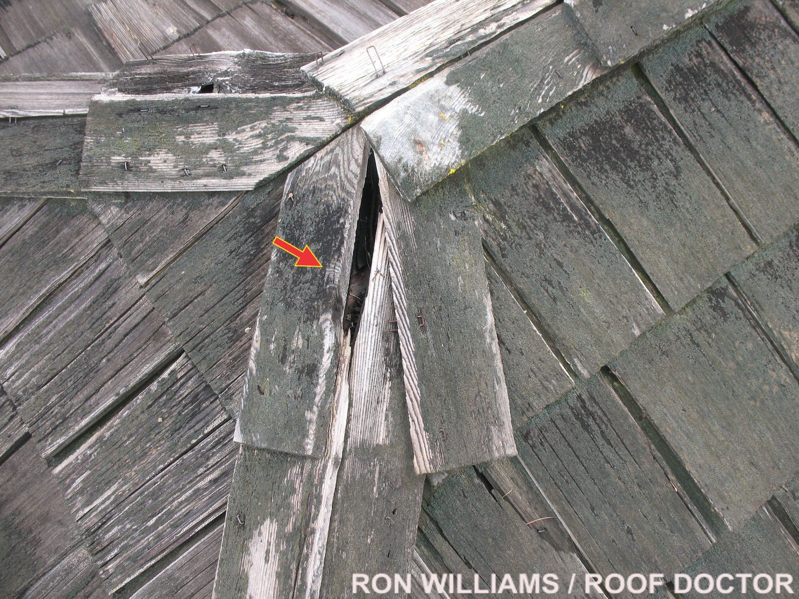 Roof Repairs Roof Inspections Roof Doctor Ron Williams Roseville Roof