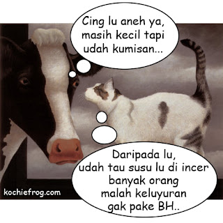 gambar pecakapan lucu sapi dan kucing