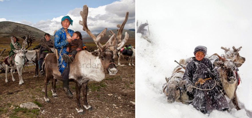 reindeer people Dukha people Hamid Sardar-Afkhami-9