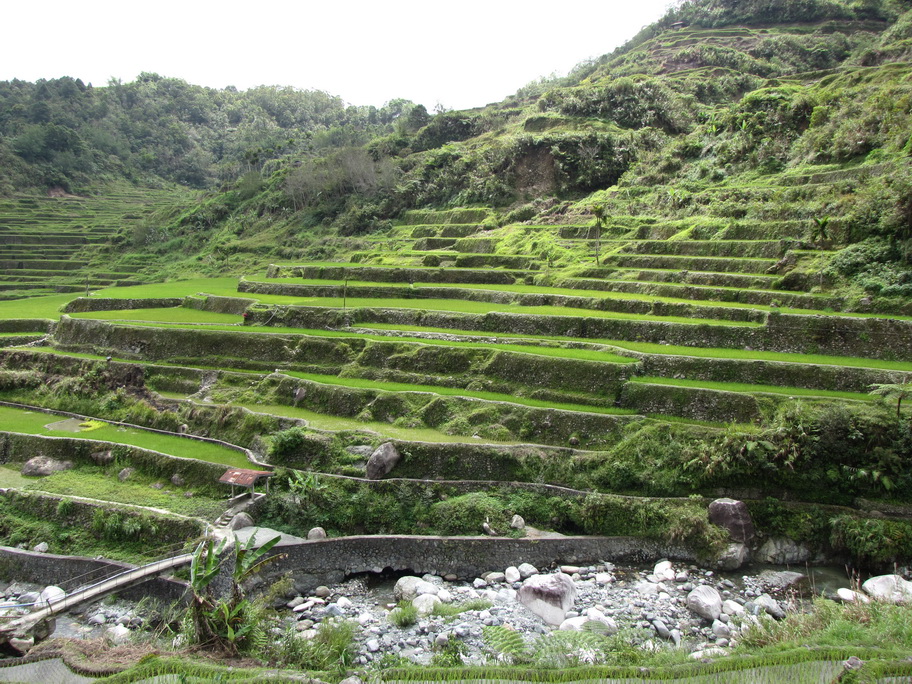 What not to do when travelling: Hapao's Rice Terraces
