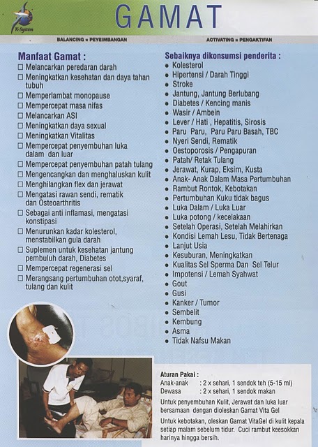 sehat kaya bisnis k link sehat kaya bisnis k link