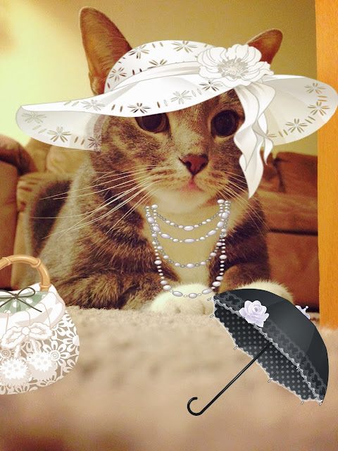 Lady Silver Meow