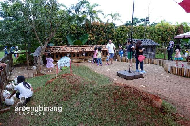 kelinci rabbit farm scientia square park tangerang