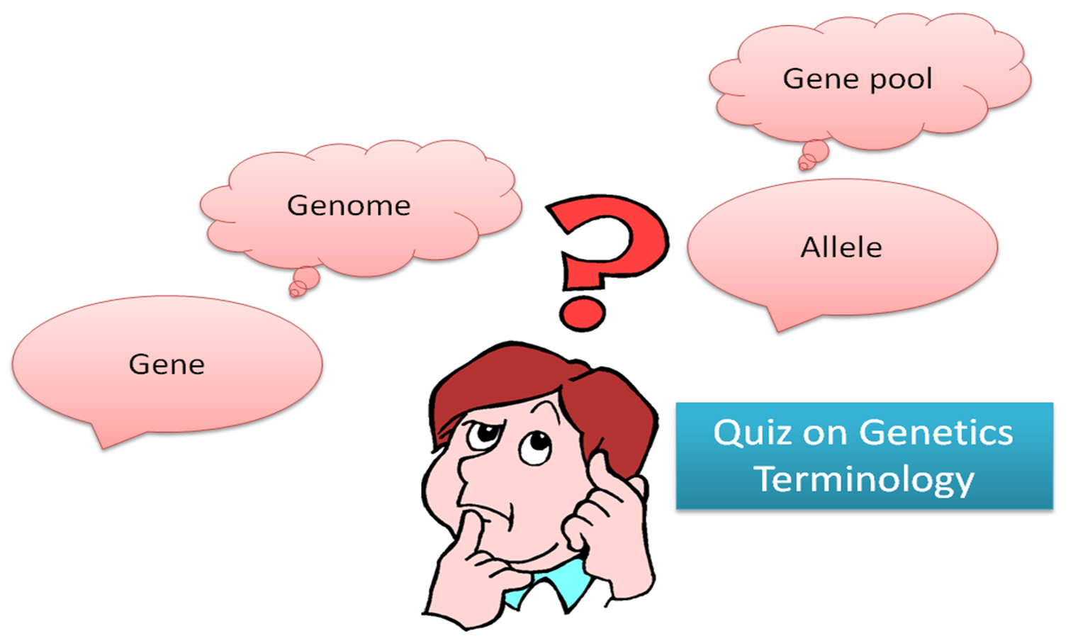 Genetics Terminology Quiz | Biology Multiple Choice Quizzes
