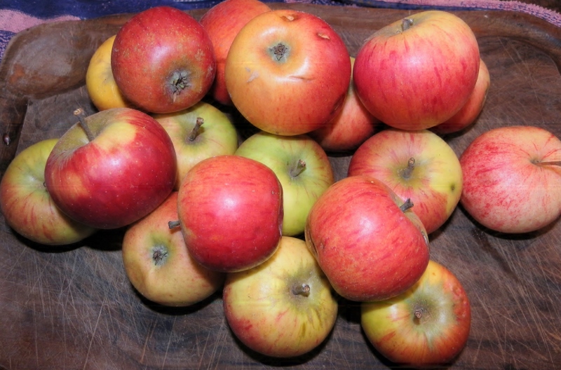 Je suis tombée dans les pommes  recette de la pâte de fruits par Ama chez.xyz