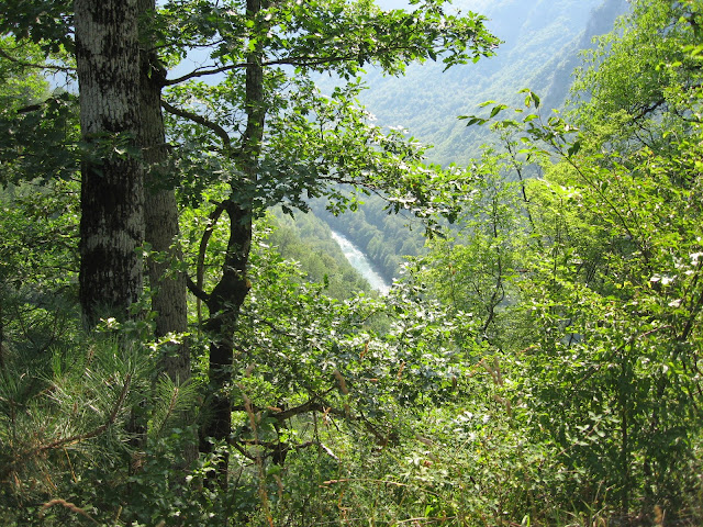 karadağ karadağ