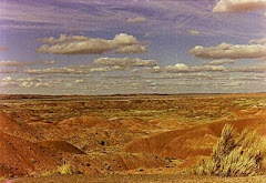 Painted Desert