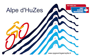 Alpe d'HuZes 2013