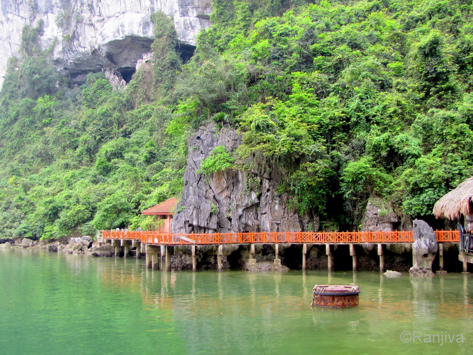 La Baie d'Along et ses rivages Paysages et Fleurs au fil de l'eau