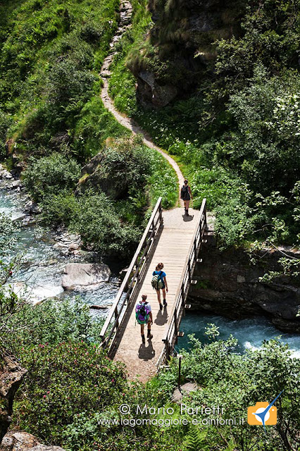 Ponticello sul torrente alla fine del lago dei Cavalli Ponticello sul torrente alla fine del lago dei Cavalli