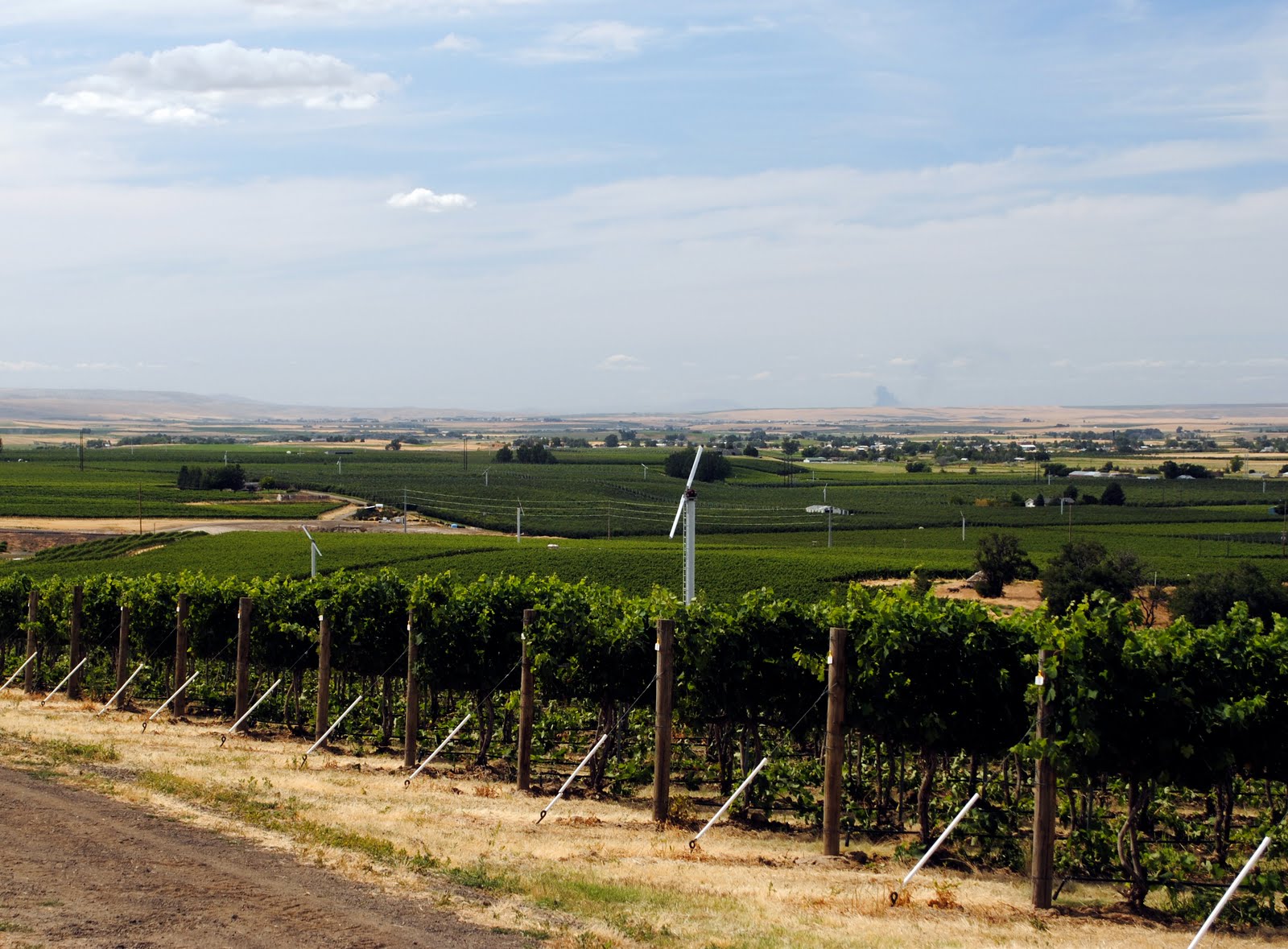 Pictures from Eastern Washington Sean P. Sullivan Washington Wine