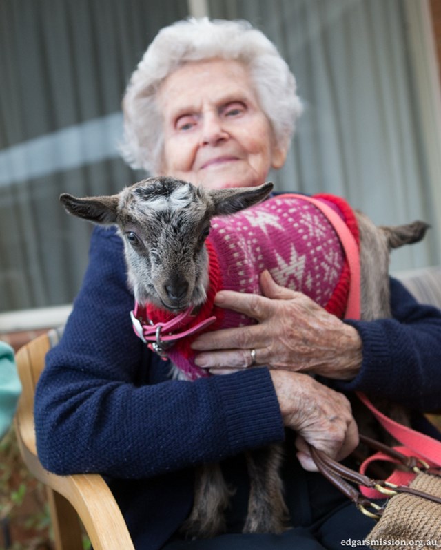 COMO ENFRENTAN LA MUERTE LOS ANCIANOS como enfrentan la muerte los ancianos: