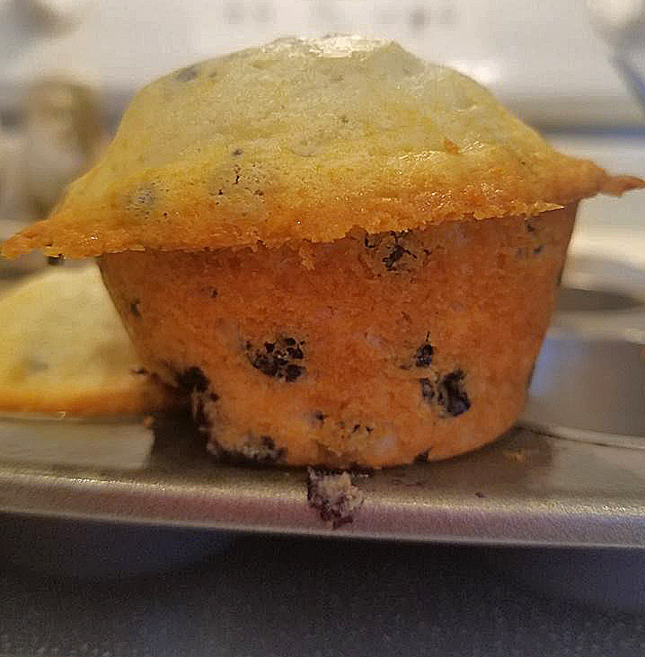 Grilled Blueberry Muffins What's Cookin' Italian Style Cuisine