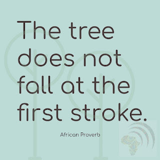 The tree does not fall at the first stroke. African Proverb