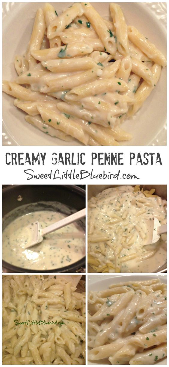 CREAMY GARLIC PENNE PASTA #creamy #garlic #penne #pasta #pastarecipes #easypastarecipes CREAMY GARLIC PENNE PASTA #creamy #garlic #penne #pasta #pastarecipes #easypastarecipes