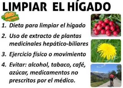Essays limpieza hepatica