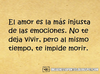 poemas de que es el amor poemas de que es el amor