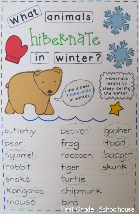 first-grade-schoolhouse-learning-about-animals-that-hibernate