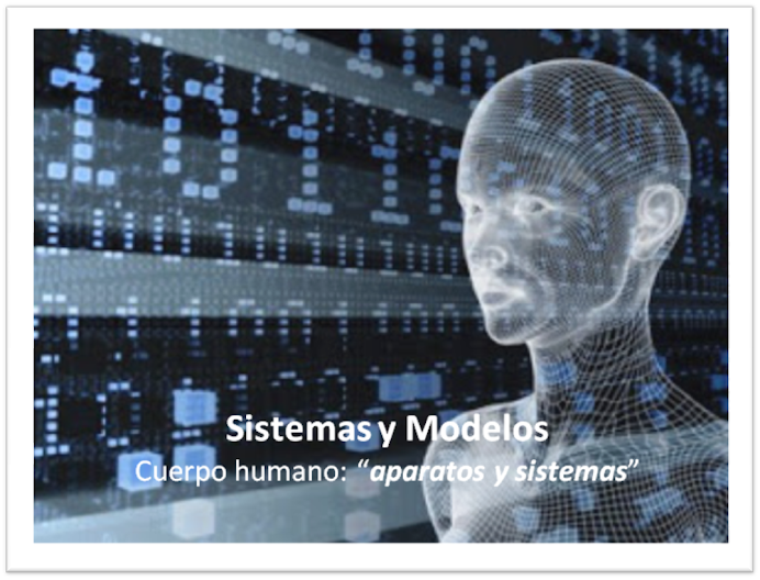 Sistemas y Modelos: aparatos y sistemas del cuerpo humano