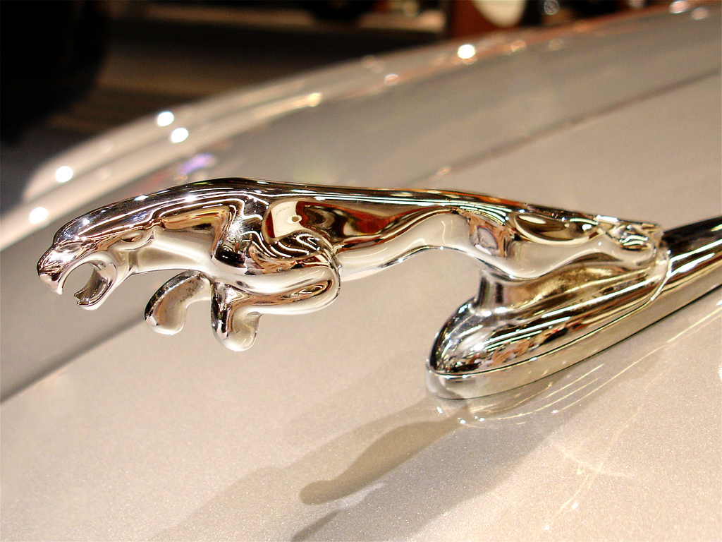 History of All Logos All Jaguar Logos